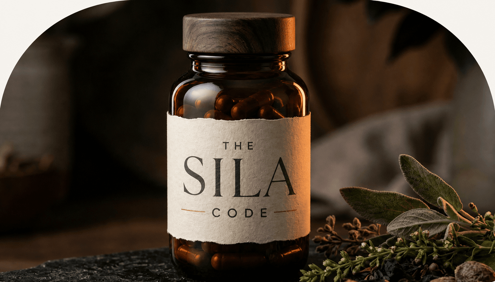 Sila Focus product and membership visual